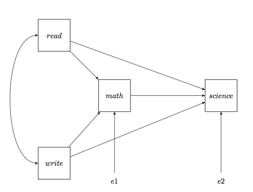 Path model. Path Analysis. DMN диаграмма это. Схема преимущества Принстона.